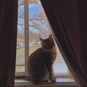 Meet your Posher, Stephanie